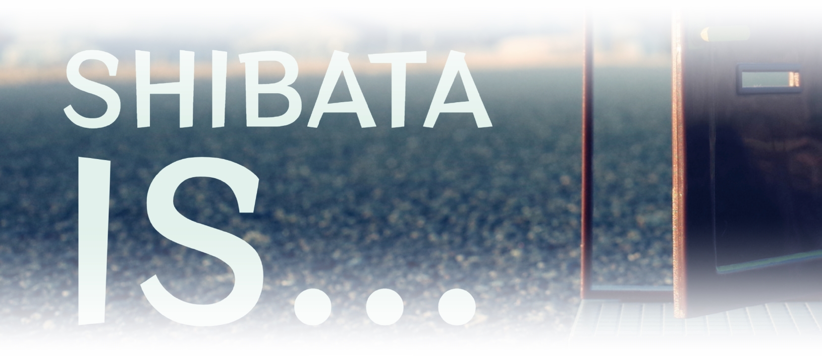 株式会社シバタ